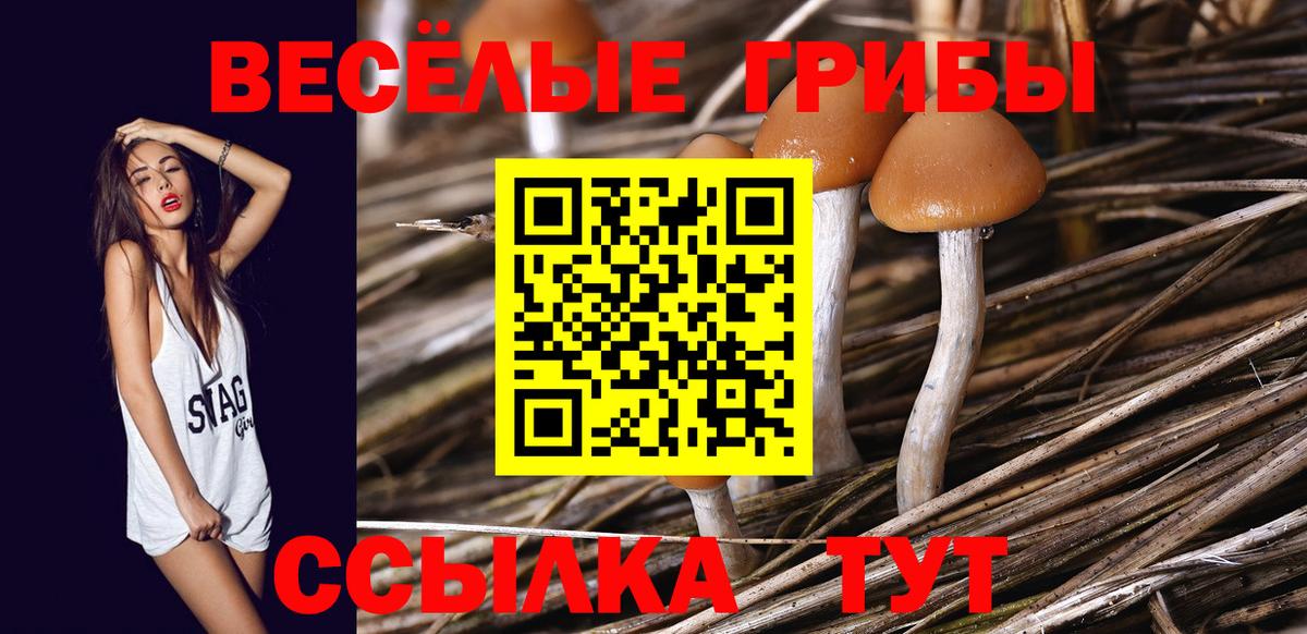 Галлюциногенные грибы Magic Shrooms Янаул